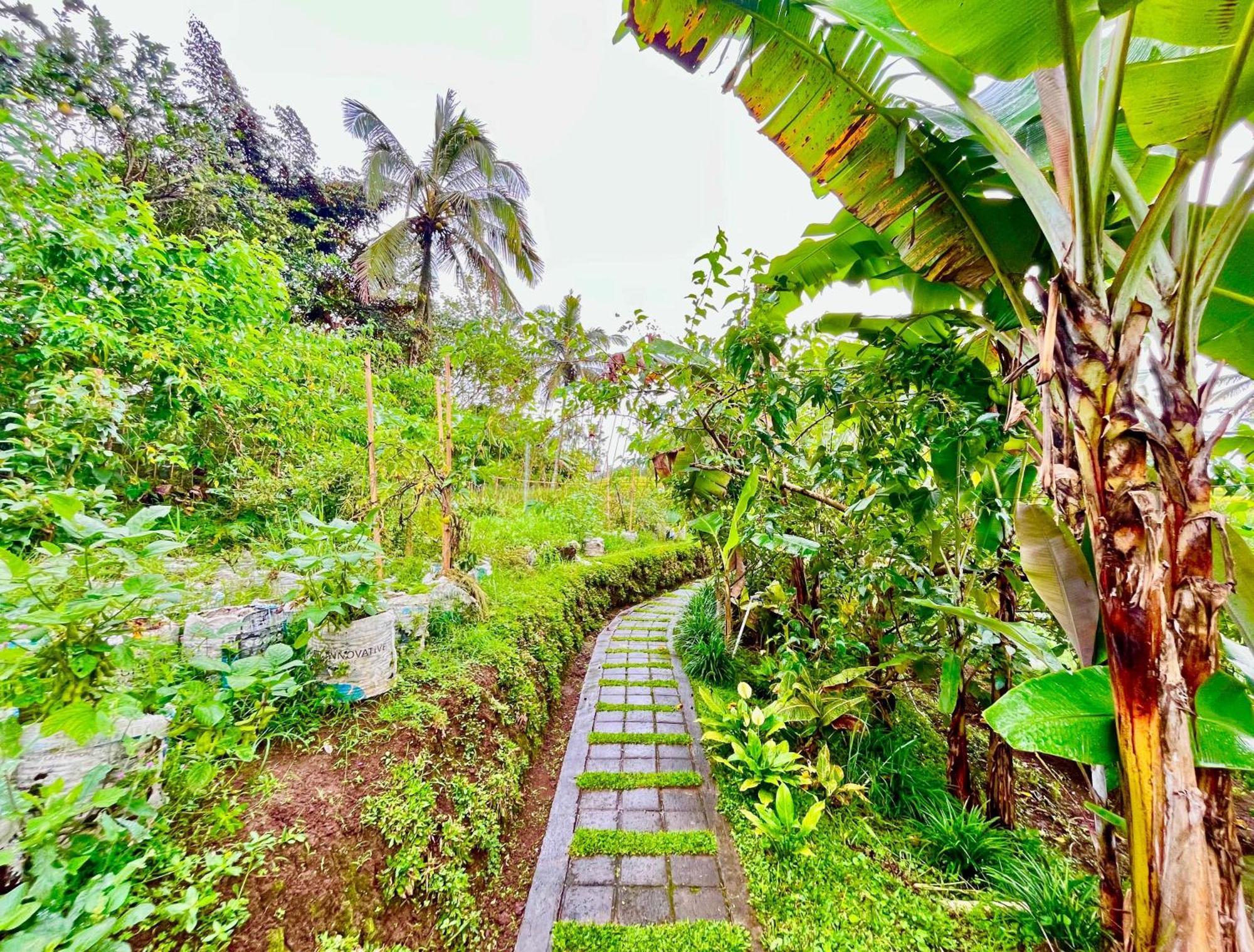 Pondok Is Oke Villa Scenic View Banyuwangi  Ngoại thất bức ảnh