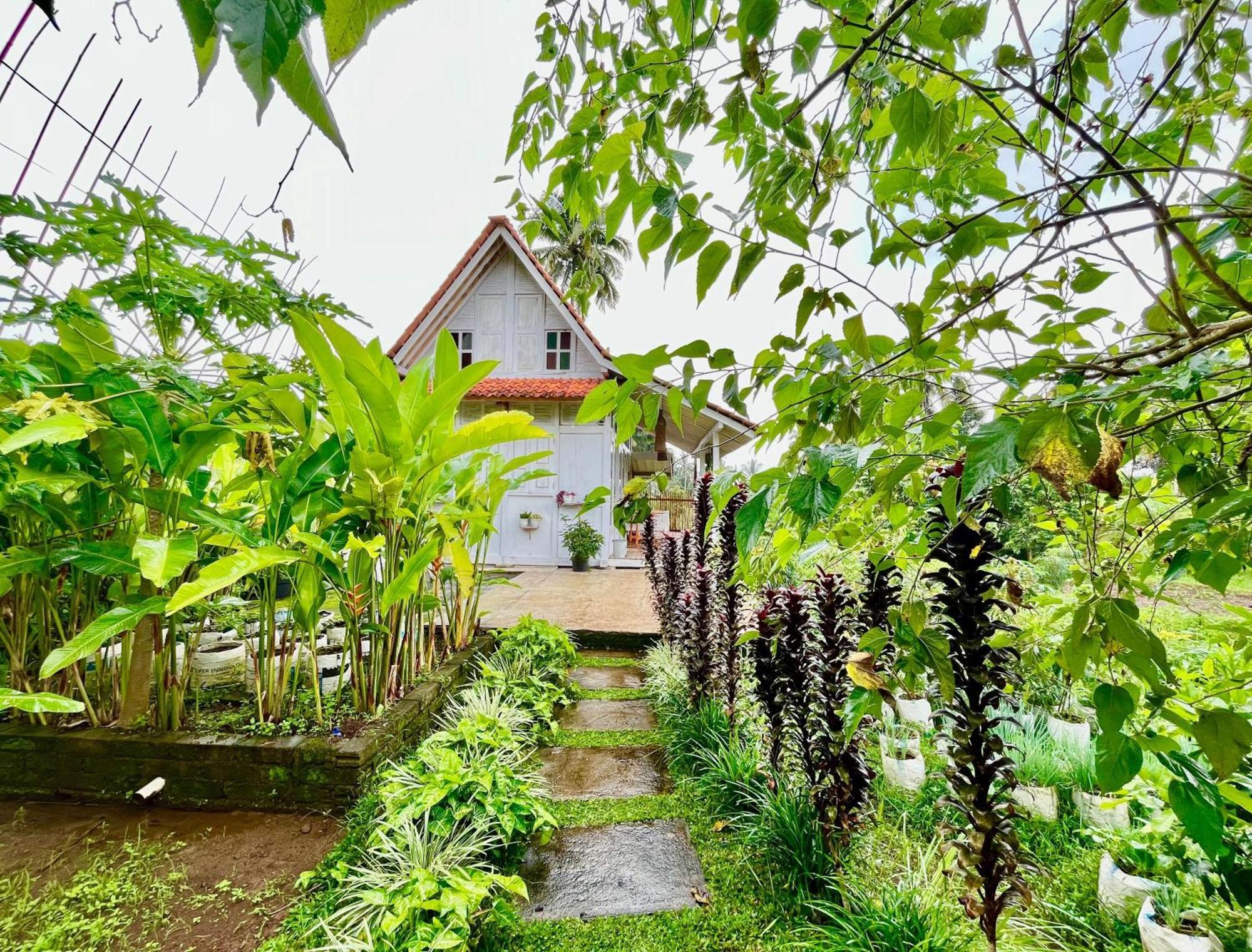 Pondok Is Oke Villa Scenic View Banyuwangi  Ngoại thất bức ảnh