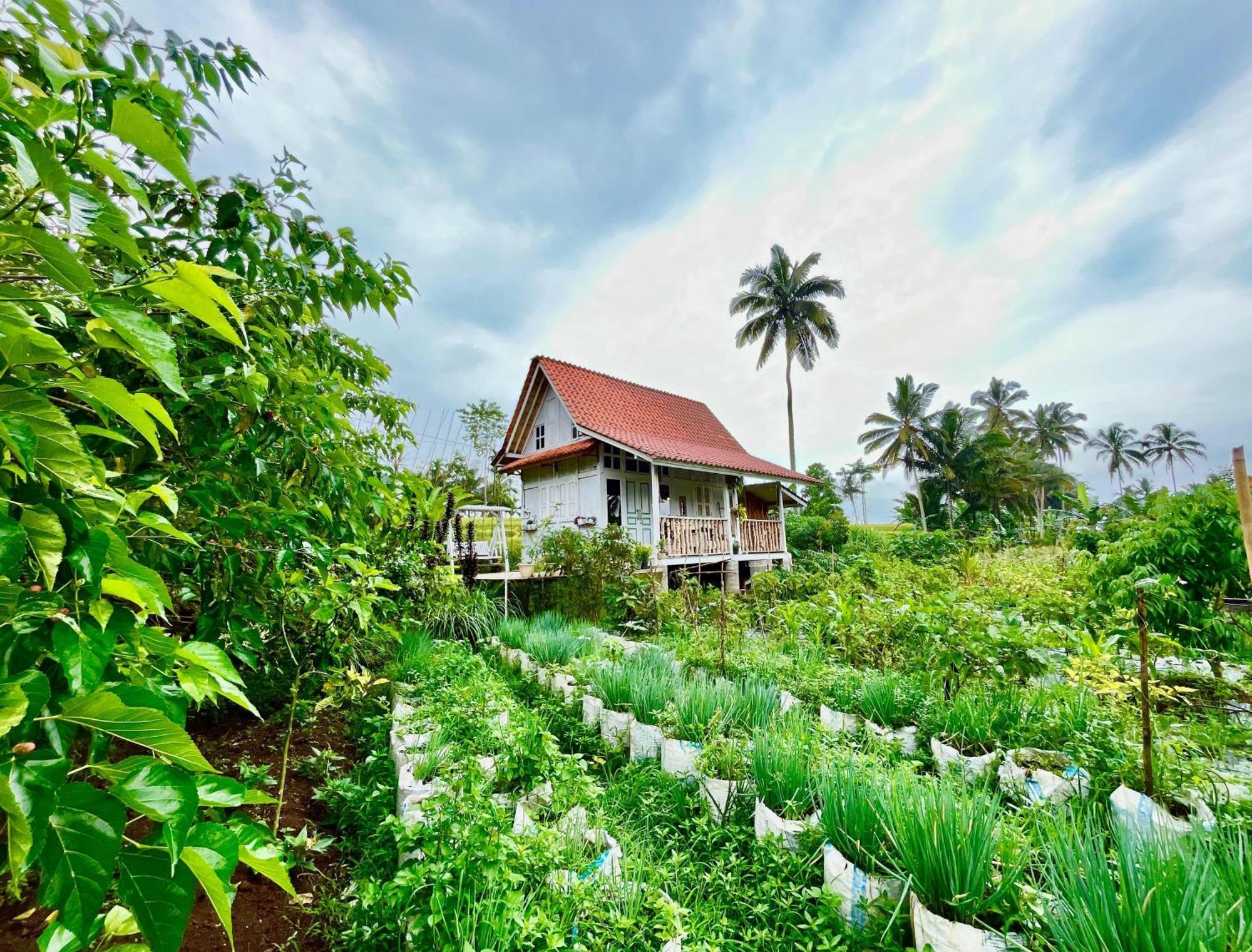 Pondok Is Oke Villa Scenic View Banyuwangi  Ngoại thất bức ảnh