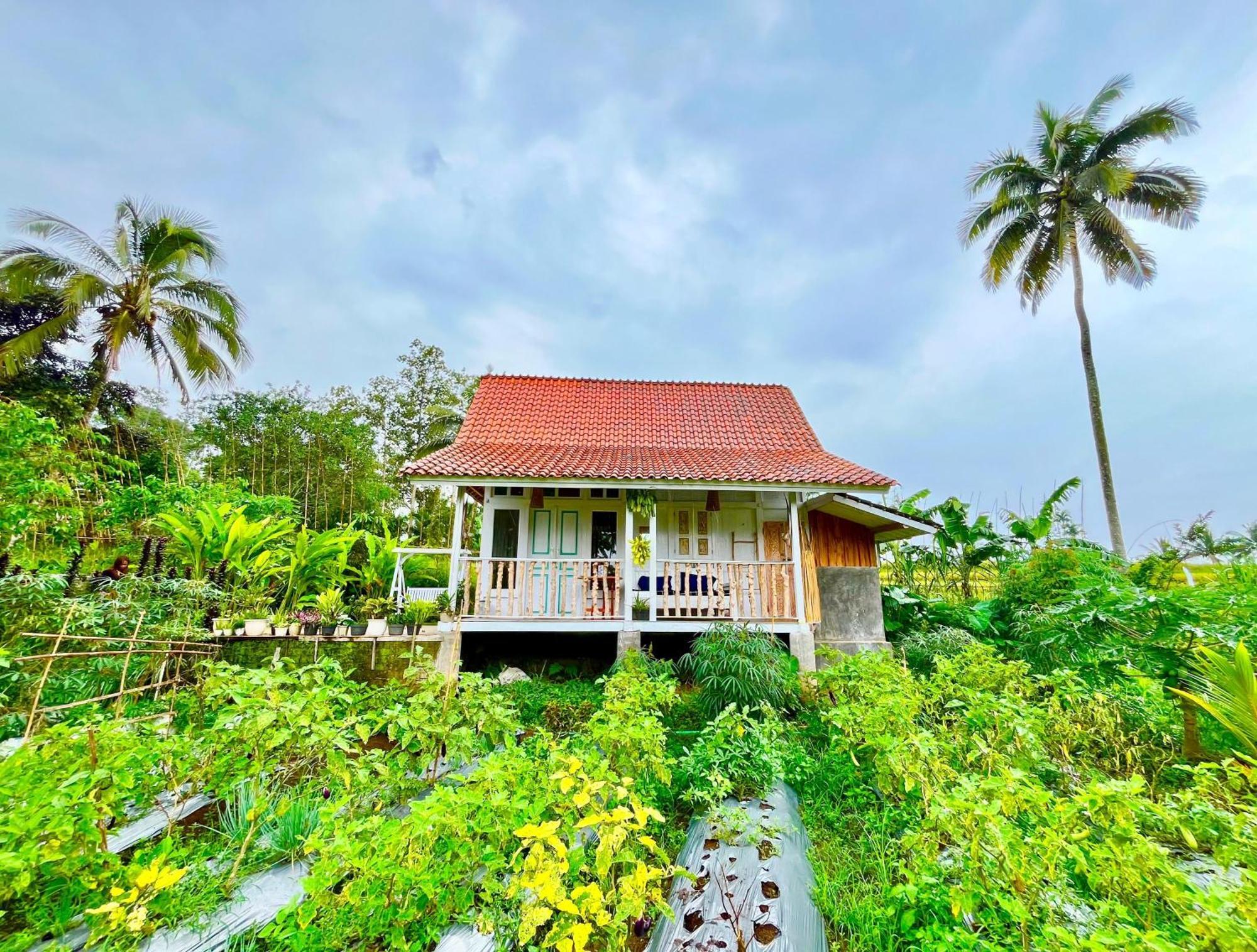 Pondok Is Oke Villa Scenic View Banyuwangi  Ngoại thất bức ảnh