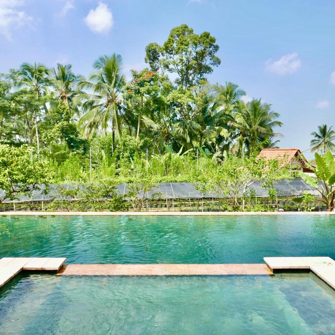 Pondok Is Oke Villa Scenic View Banyuwangi  Ngoại thất bức ảnh