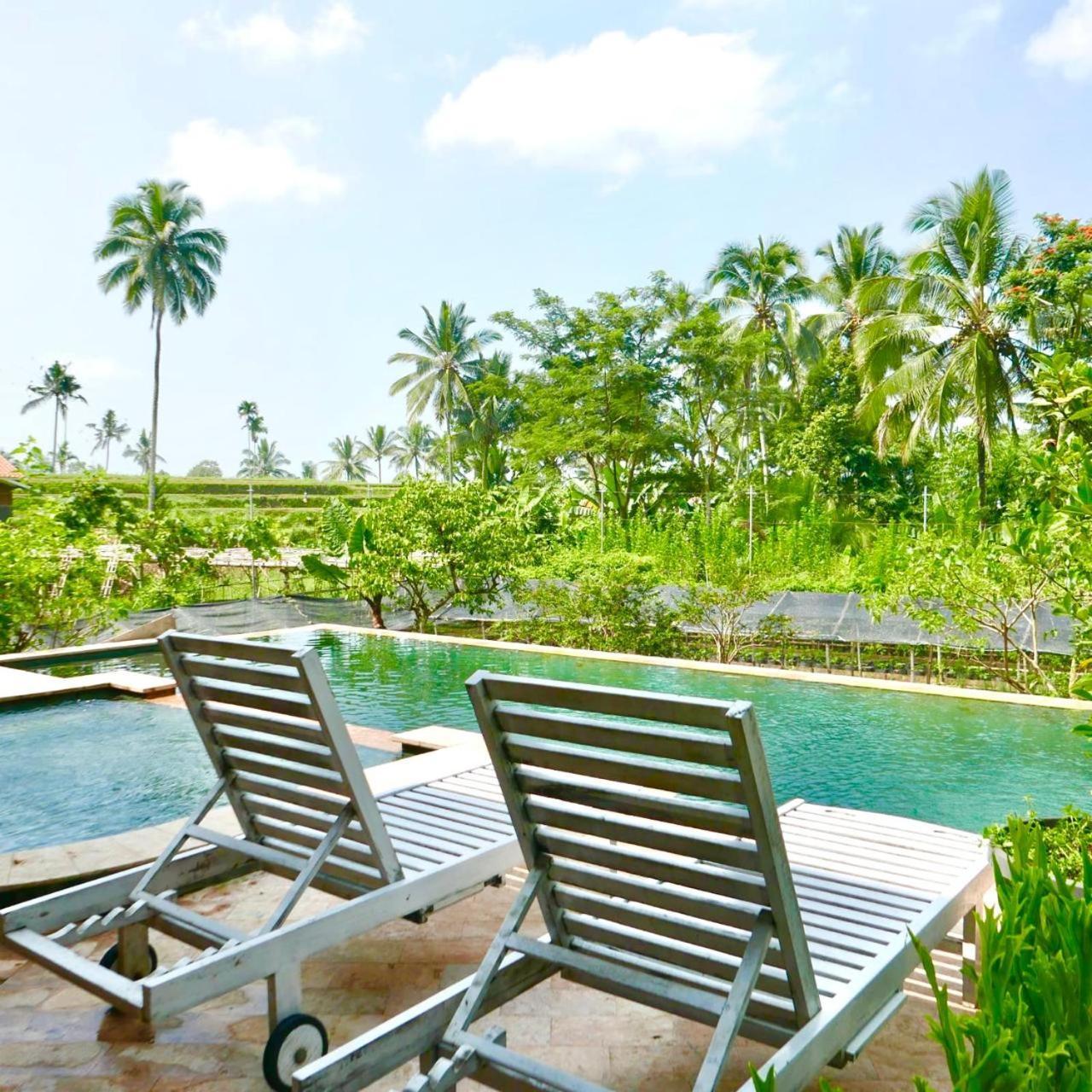 Pondok Is Oke Villa Scenic View Banyuwangi  Ngoại thất bức ảnh
