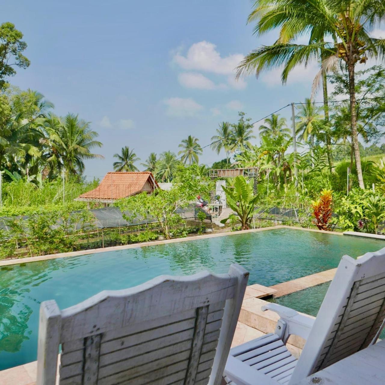 Pondok Is Oke Villa Scenic View Banyuwangi  Ngoại thất bức ảnh
