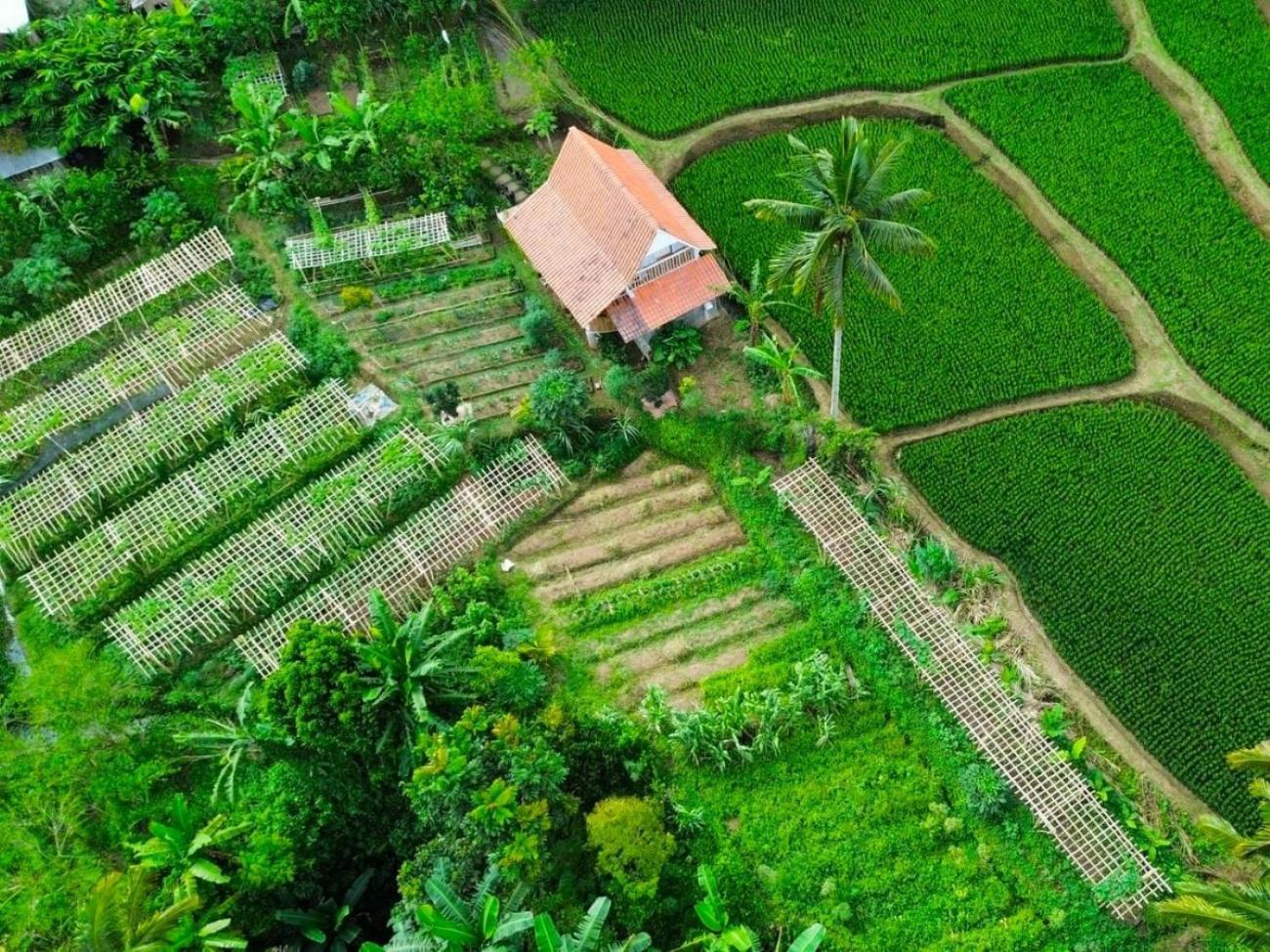 Pondok Is Oke Villa Scenic View Banyuwangi  Ngoại thất bức ảnh