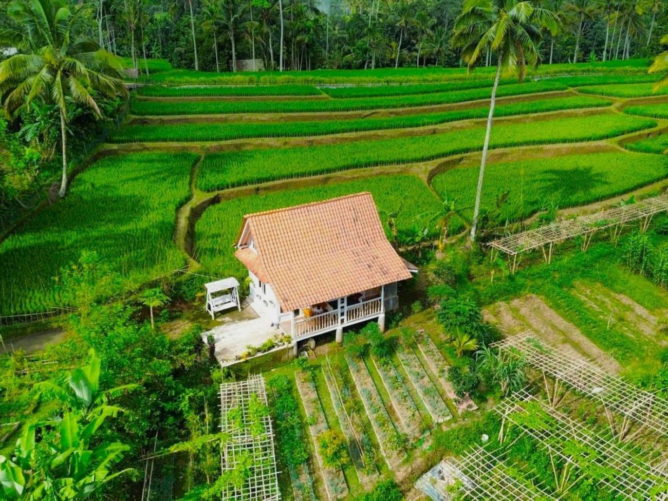 Pondok Is Oke Villa Scenic View Banyuwangi  Ngoại thất bức ảnh