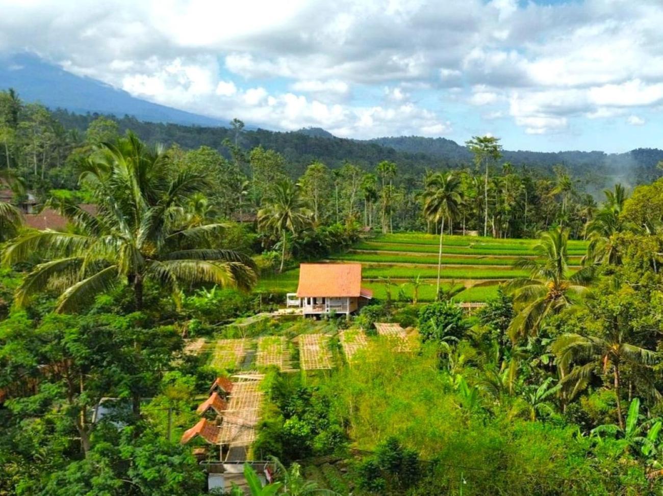 Pondok Is Oke Villa Scenic View Banyuwangi  Ngoại thất bức ảnh
