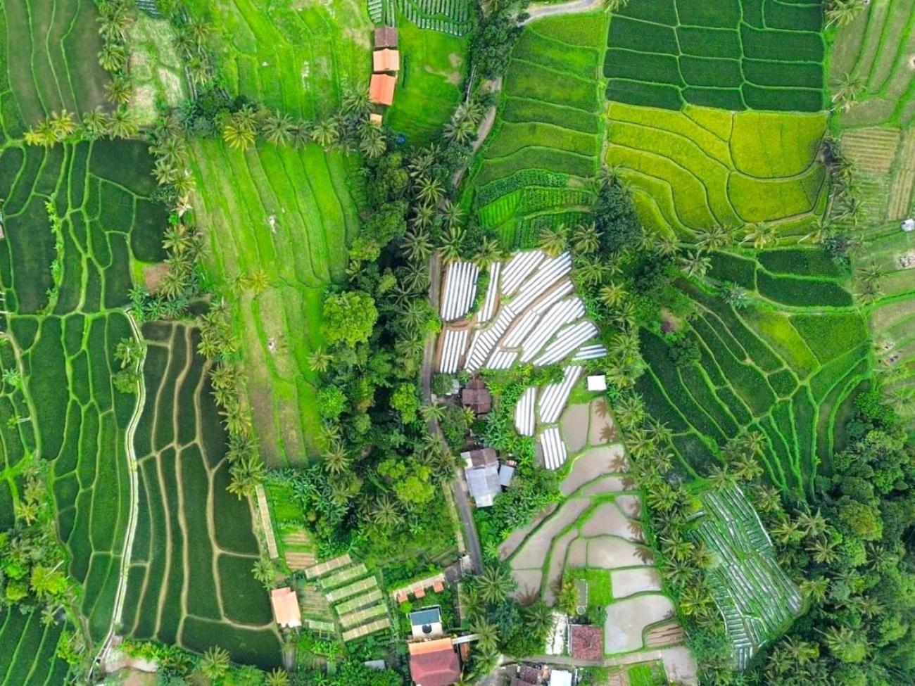 Pondok Is Oke Villa Scenic View Banyuwangi  Ngoại thất bức ảnh